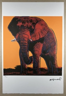 Obraz | Andy Warhol | Slon africký | oranžová
